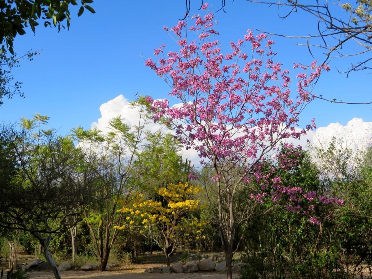 El Pedregal - Hotel En La Naturaleza Álamos 外观 照片