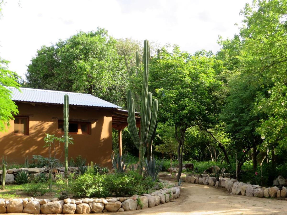 El Pedregal - Hotel En La Naturaleza Álamos 外观 照片