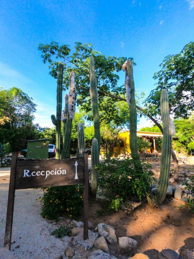 El Pedregal - Hotel En La Naturaleza Álamos 外观 照片