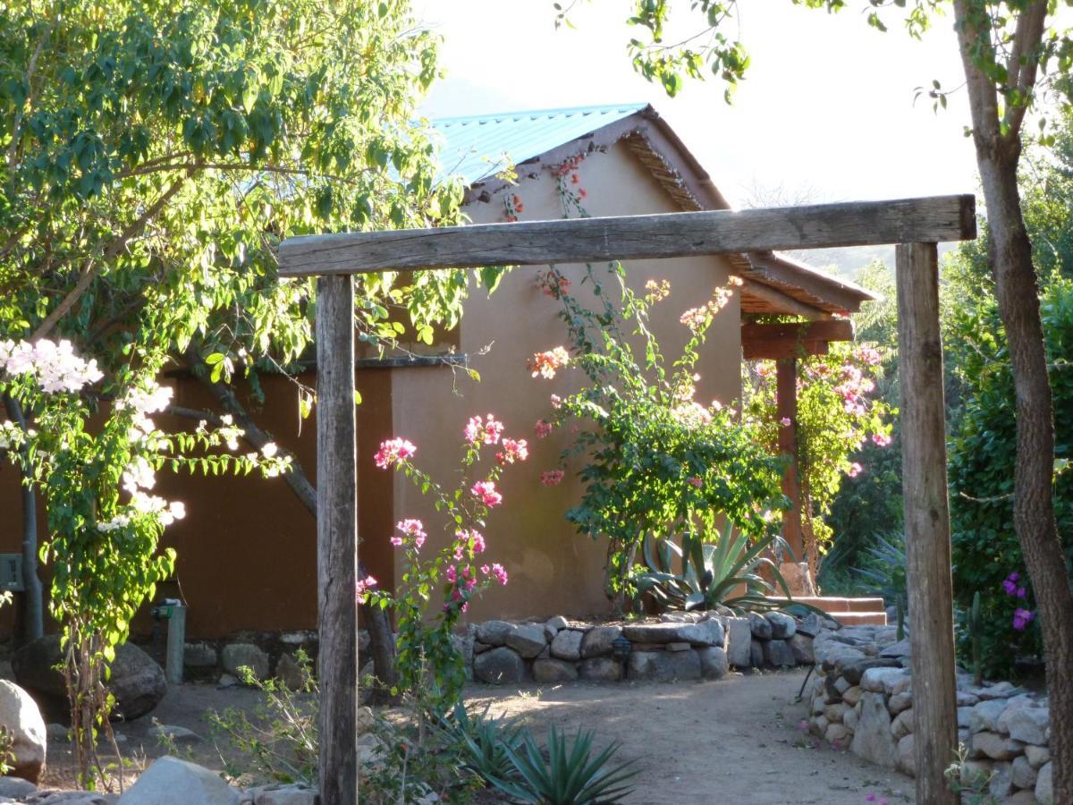 El Pedregal - Hotel En La Naturaleza Álamos 外观 照片